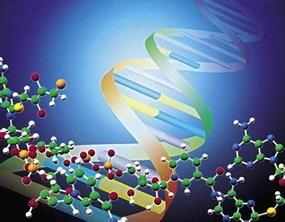 基因突变检测SNP 是什么意思-严选好基因网