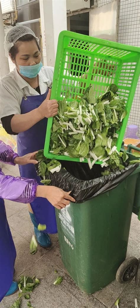 174公斤蔬菜检测不合格，销毁！石碁镇为学生用餐安全保驾护航 -信息时报