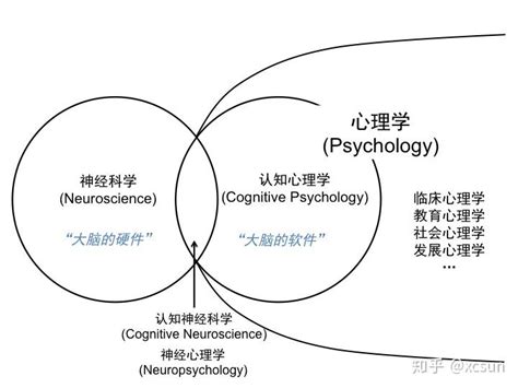 深圳市神经科学研究院招聘多名心理学相关领域科研助理 - 知乎