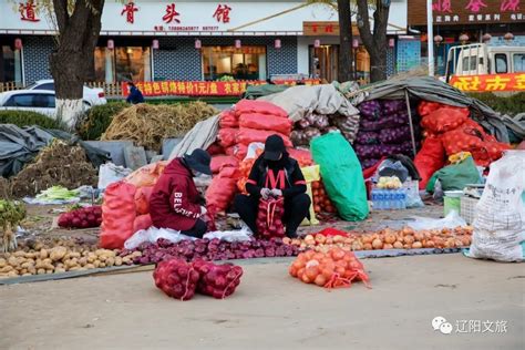 在辽阳，有一种幸福叫做“囤秋菜”凤凰网辽宁_凤凰网