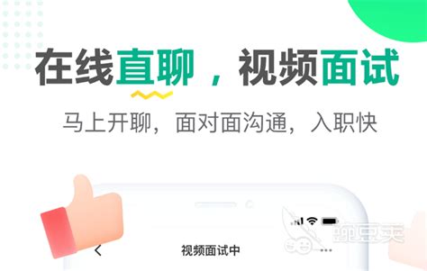 招聘app排名前十名2022 热门的招聘app推荐_豌豆荚