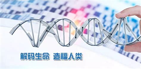 基因检测篇|解读基因生命密码，揭开人体所有奥秘_管理