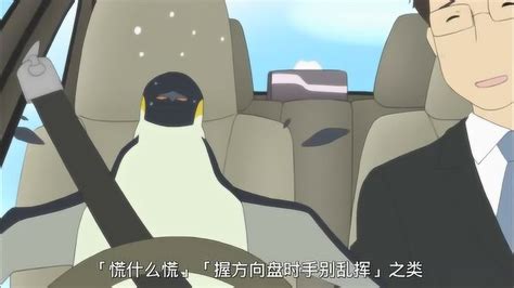白熊咖啡厅：企鹅先生还是学不会开车啊_高清1080P在线观看平台_腾讯视频