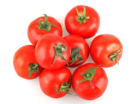 红番茄高清图片下载-正版图片304165138-摄图网