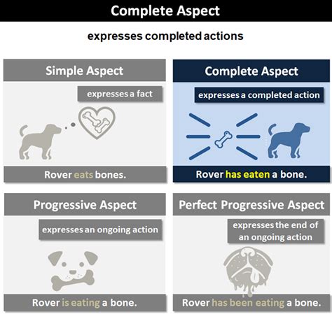 Complete Aspect: Explanation and Examples