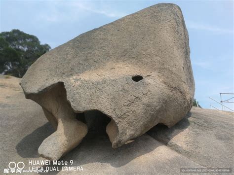 新发现丨薛城遗址发现南京地区最大规模史前墓地 出土“龙形”蚬壳堆塑遗迹！
