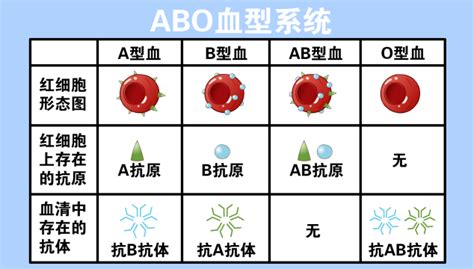 血型与遗传--中国数字科技馆