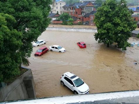 河南焦作暴雨多部车辆被冲走，白衣男子冲入洪水救出一人_手机新浪网