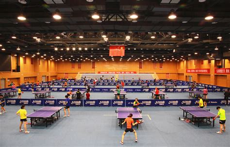 青少年乒乓球训练场地-重庆乒动体育文化传播有限责任公司
