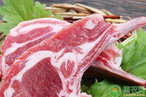 2020年山羊肉多少钱一斤？2020年山羊肉价格行情预测 - 惠农网