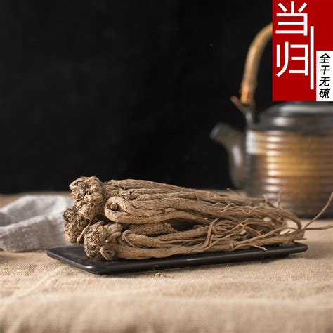 野生土当归图片