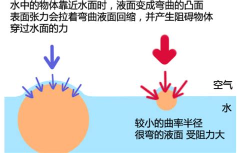 水滴的表面张力使它尽量收缩从而形成球形-芬兰Kibron-上海谓载科技有限公司