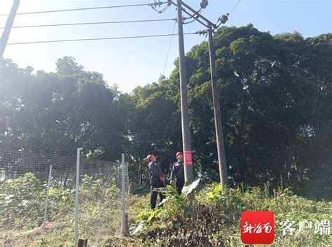 聚焦电线杆小拉线，消除公共安全大隐患——望江县检察院开展公益诉讼“回头看”行动
