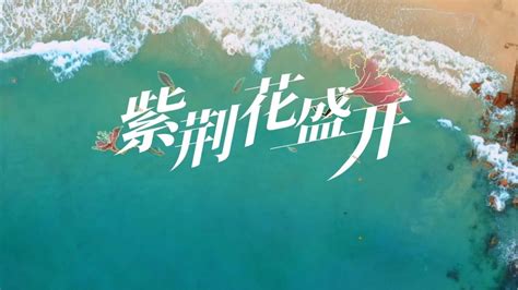 戛纳电影节最佳影片《坠落的审判》发布中国内地定档海报……|戛纳电影节|坠落的审判|戛纳_新浪新闻