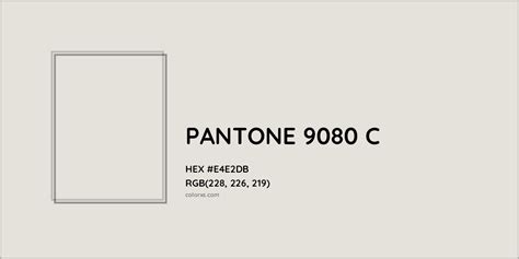 About PANTONE 9080 C Color - Color codes, similar colors and paints ...