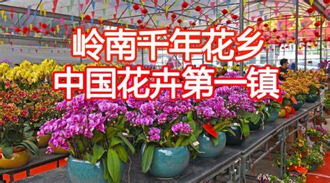 陈村镇花卉市场