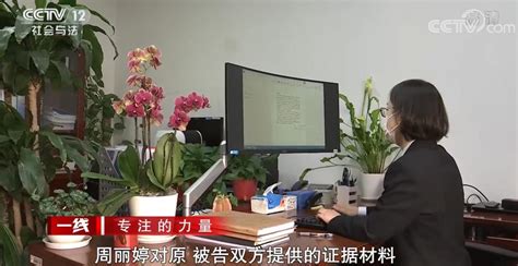 周丽婷：让全社会听到知识产权保护的声音 | CCTV12《一线》_澎湃号·政务_澎湃新闻-The Paper