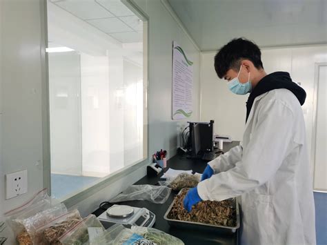 吴忠市食品安全宣传周活动正式启动-宁夏新闻网