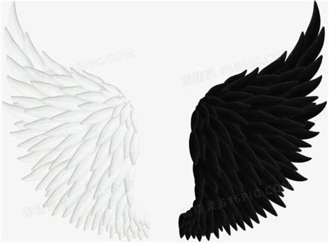 黑白对比翅膀图片免费下载_PNG素材_编号vwxiwjmn1_图精灵