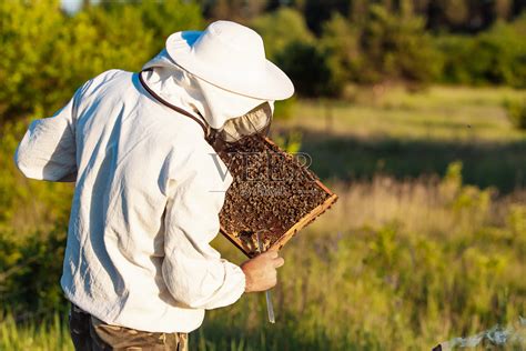 养蜂人的工作收集蜂高清图片下载-正版图片504633977-摄图网