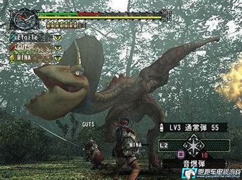 PS2网游《怪物猎人G》游戏画面_游戏网络游戏-中关村在线