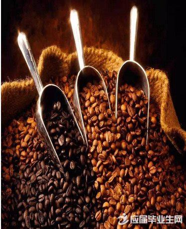 曼特宁咖啡豆 新产季黄金曼特宁品种是罗布斯塔咖啡吗 中国咖啡网