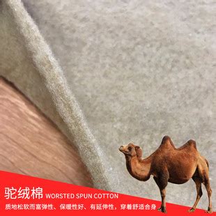 骆驼服饰直播间设计-广州摄影基地网