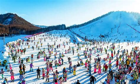 2021神农架国际滑雪场-旅游攻略-门票-地址-问答-游记点评，神农架旅游旅游景点推荐-去哪儿攻略