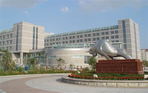 黑龙江“改名”很成功的高校，以前像是野鸡大学，如今受到欢迎|黑龙江科技大学|野鸡大学|学校_新浪新闻