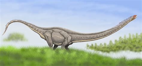 黄山市歙县发现恐龙新属种——地博安徽龙 - 神秘的地球 科学|自然|地理|探索