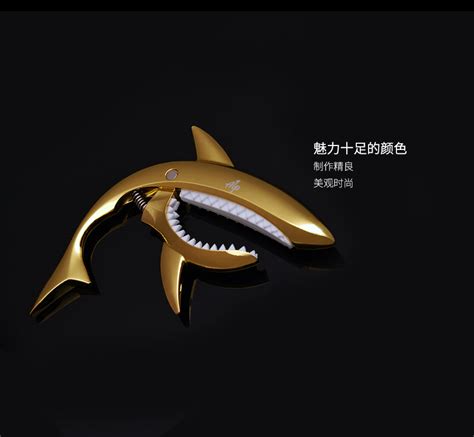 鲨鱼也是鱼（图）-杭网原创-杭州网