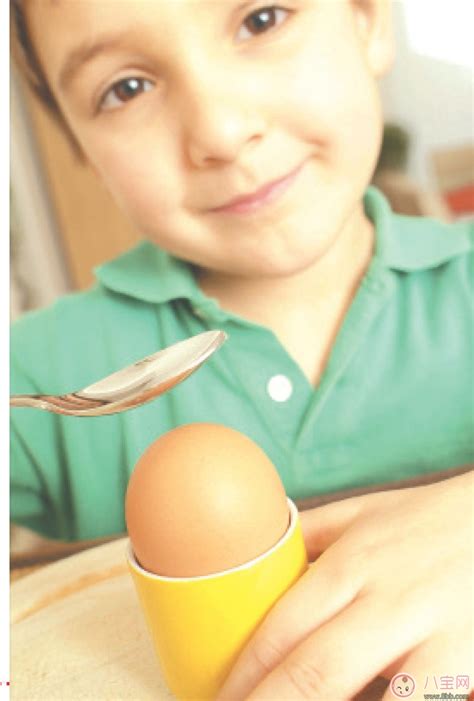 孩子感冒为什么不能吃鸡蛋 吃鸡蛋会怎样 _八宝网