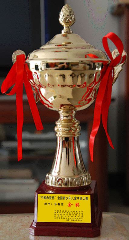 2010“希望杯”奖牌证书已顺利抵达申城_希望杯信息_苏州奥数网