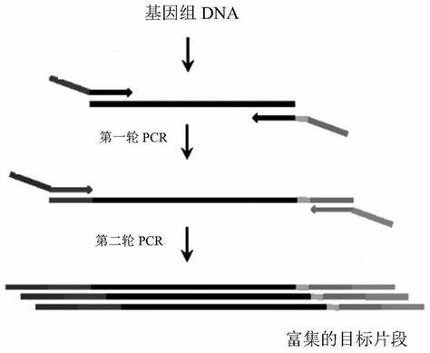 720螺旋管一米多重(720螺旋管10mm厚一米多重)