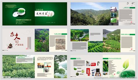桐城,海报设计,画册/宣传单/广告,设计模板,汇图网www.huitu.com