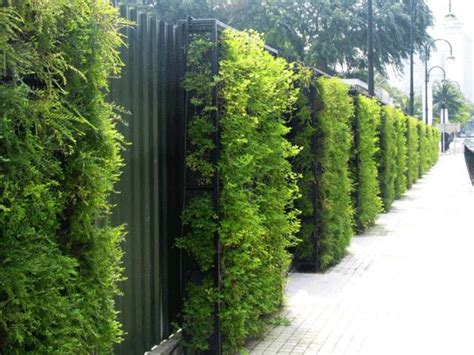 7种材质打造最美庭院围墙