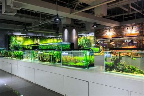 广州市水族馆开放时间（广州水族馆什么时候开门） - 观赏鱼 - 广州观赏鱼批发市场