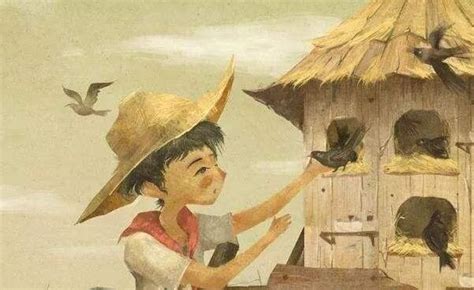 《草房子》秃鹤的主要故事内容简介-作品人物网