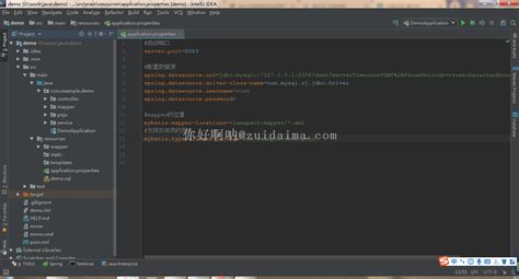 基于springboot+mybatis的项目搭建实例，适合初学者学习-代码-最代码