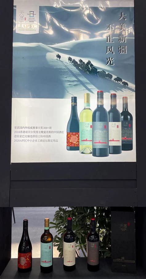 新疆昌吉举行葡萄酒高峰论坛:引导葡萄酒产业集群化_新浪新闻
