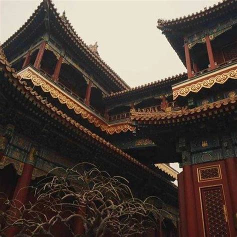北京雍和宫牌楼高清图片下载_红动中国