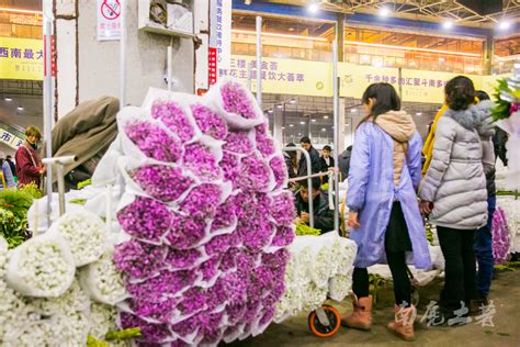 中国最大的花卉市场，鲜花白菜价，卖花像卖菜_南麂土著_新浪博客