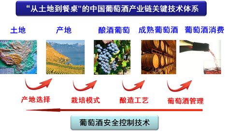 西北农林科技大学中国葡萄酒产业链关键技术亮相首届高等学校科技创新大会 —中国教育在线