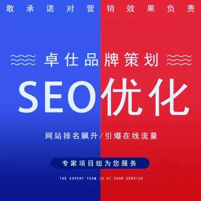 网站SEO优化 尊享版 | 合肥卓仕网络科技有限公司