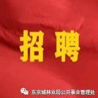 黑龙江省文化和旅游厅所属事业单位2021年公开招聘工作人员公告_岗位