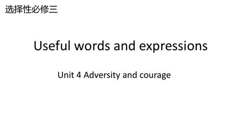 人教版(2019)选择性必修第三册Unit4 Adversity and Courage Useful words and ...