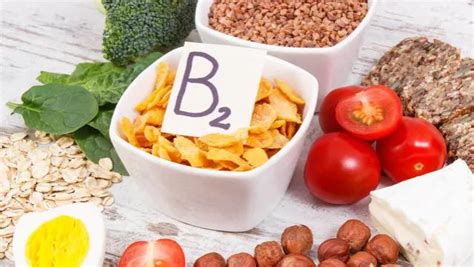 富含维生素B2的食物都有哪些（哪些食物维生素b2含量高） – 碳资讯