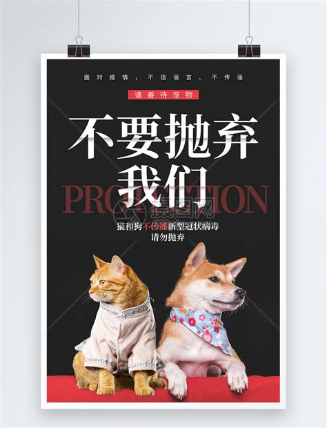 请勿抛弃宠物公益宣传海报模板素材-正版图片401681254-摄图网