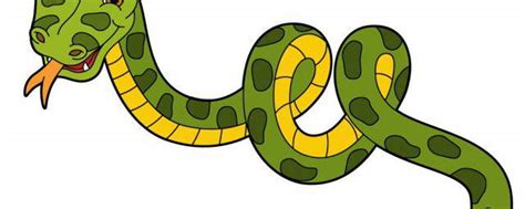 蛇的拼音 蛇的拼音是什么_知秀网