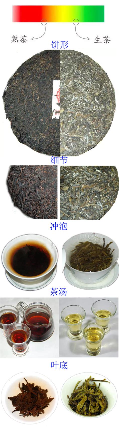 普洱茶怎么保存 普洱茶长期保存方法-润元昌普洱茶网